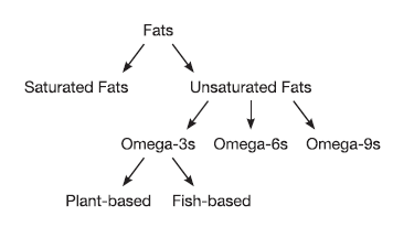 What You Need to Know About Fats
